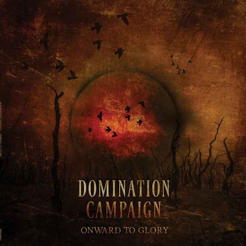 Новая работа DOMINATION CAMPAIGN на подходе
